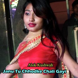 Janu Tu Chhodke Chali Gayi-Ei0adU1XeWc