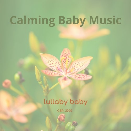 Lullaby Baby_poster_image