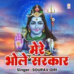 Mere Bhole Sarkar artwork