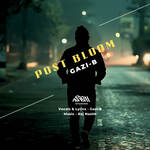 Midnight Blues (Aadhi Raat Baad)