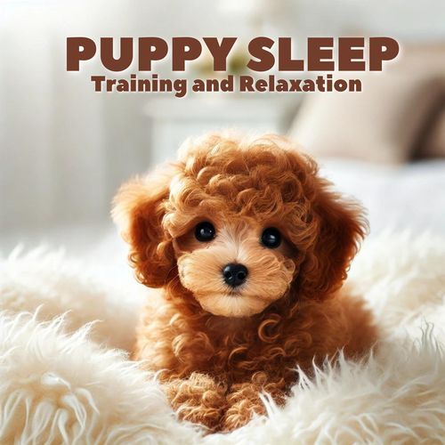 Gentle Dog Therapy cover art