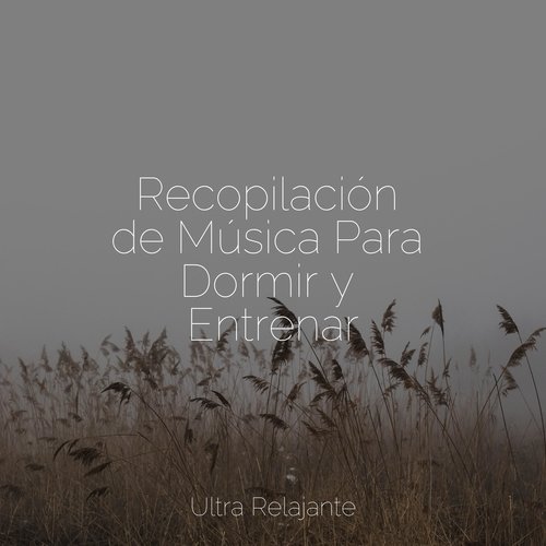 Recopilación de Música Para Dormir y Entrenar_poster_image