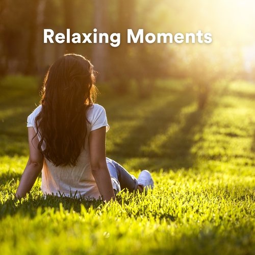 Relaxing Moments_poster_image