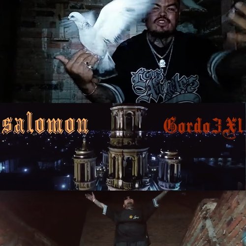 Salomon cover art
