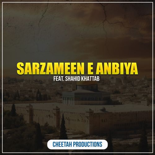 Sarzameen E Anbiya