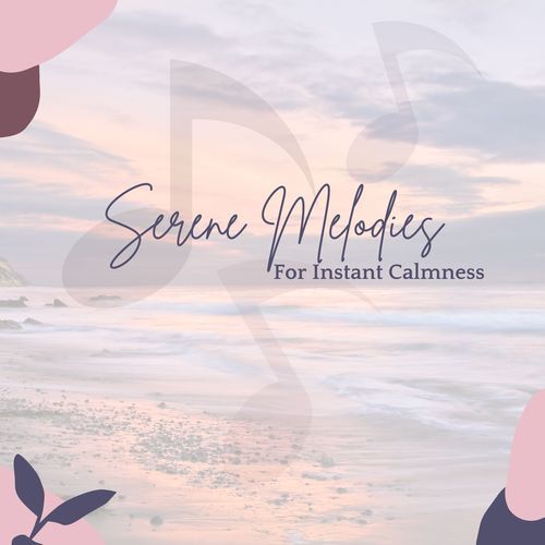 Calm Vibes cover art