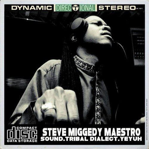 Steve Miggedy Maestro