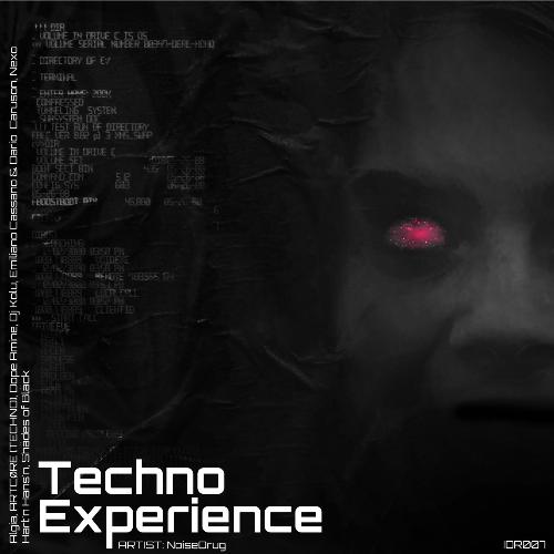 Techno Experience (Remix) cover art