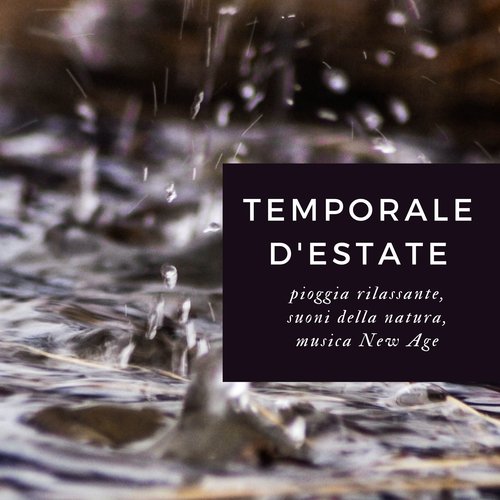 Temporale d'estate cover art