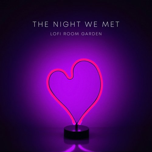The Night We Met