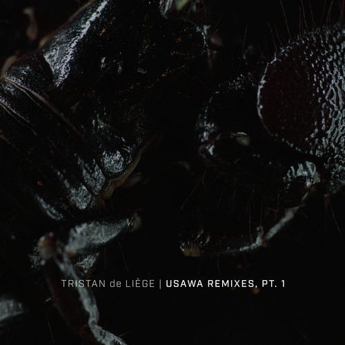 Four Larks (Salvatore Cordova Remix) cover art