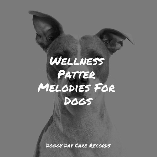 Wellness Patter Melodies For Dogs