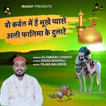 Wo Kabra Mai Hai Bhuke Pyase Ali Fatima Ke Dulare