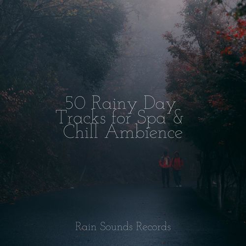 50 Rainy Day Tracks for Spa & Chill Ambience