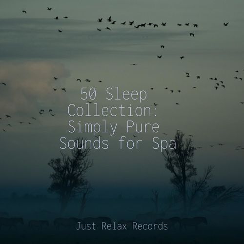 50 Sleep Collection: Simply Pure Sounds for Spa