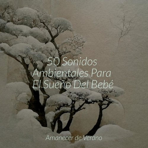 50 Sonidos Ambientales Para El Sueño Del Bebé