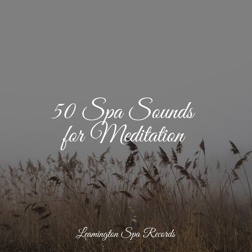 Meditating Music cover art