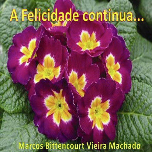 Flavio cover art