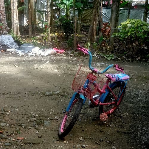 Arti hidup