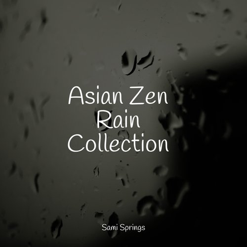 Rain, Storm and Thunder cover art