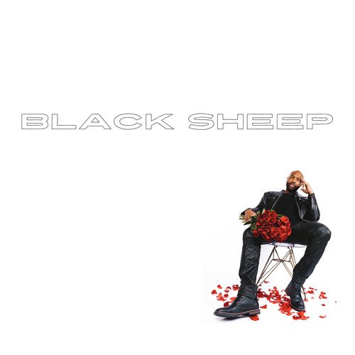 BLACK SHEEP