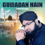 Gulbadan Hain