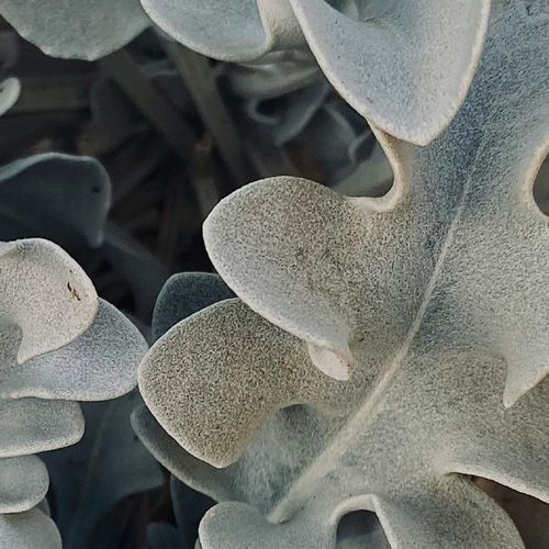 Learning to Breathe Again