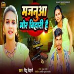 Majnua Mor Bihari Hai