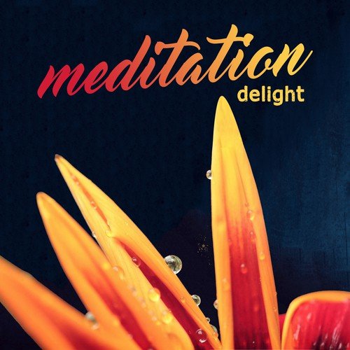 Meditation Delight