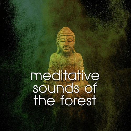 Meditative Sounds of the Forest_poster_image