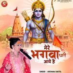Mere Bhagwa Dhari Aaye Hai
