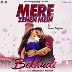 Mere Zehen Mein