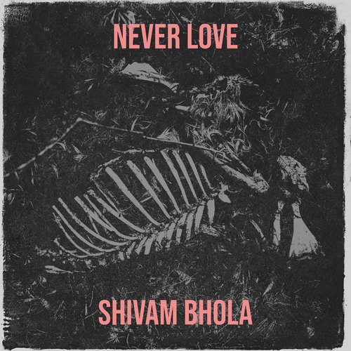 Never Love
