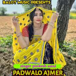 Padwalo ajmer-KT87UEBUTV0