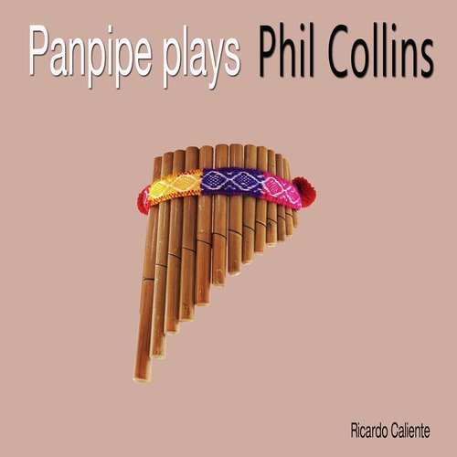 Against All Odds (take A Look At Me Now) by Phil Collins - Flute