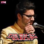 Pir Milay Aur Dil Na Badlay