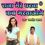 Raja Mere Parcha Kab Bharwaoge