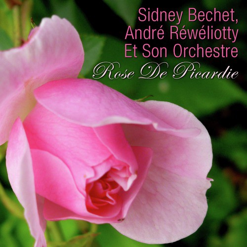 Rose de picardie_poster_image