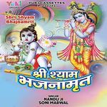 Baba Ji Tahra Kya Kehna artwork