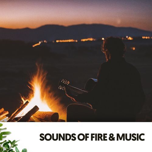 Sounds of Fire & Music: Dancing Flames and Melodic Beats_poster_image