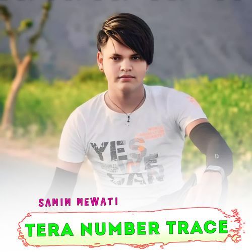 TERA NUMBER TRACE