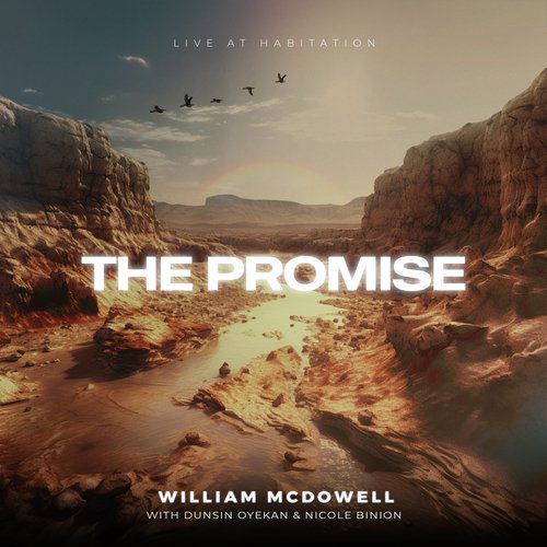 The Promise (Live)_poster_image