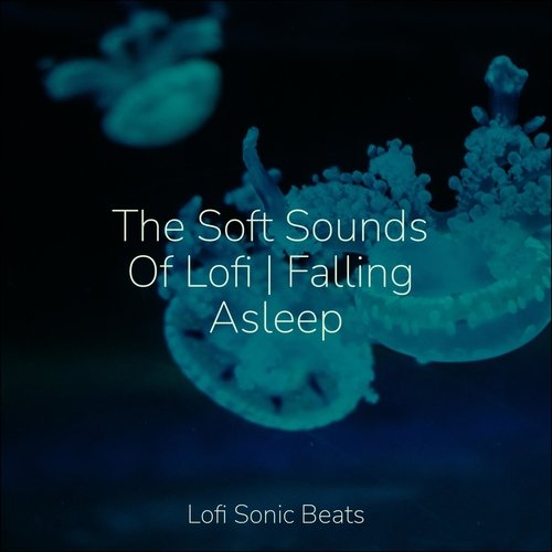 The Soft Sounds Of Lofi | Falling Asleep