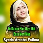 Tu Kahan Kho Gayi Hai Bata Meri Maa