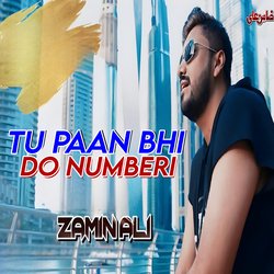 Tu Paan Bhi Do Numberi-SDAPdzZgZ2k