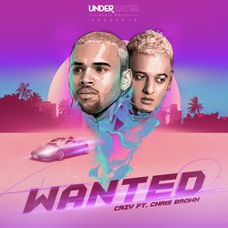 Wanted (feat. Chris Brown)