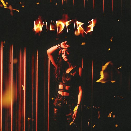 Wildfire_poster_image