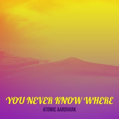 You Never Know Where cover art