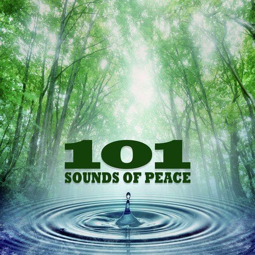 101 Sounds of Peace