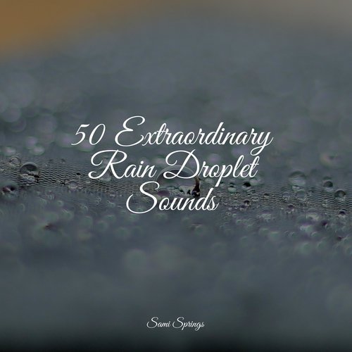 50 Extraordinary Rain Droplet Sounds